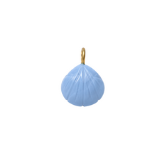 blue shell charm